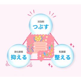 2号仓-小林制药 乳酸菌整肠清肠丸 改善便秘腹胀  帮助腹部排气 酸奶味 18片 【第３类医药品】