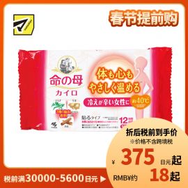 2号仓-小林制药 桐灰 命之母 专为手脚冰冷人士设计 恒温发热 暖宝宝 黏贴型 可持续12小时 生姜艾草桂皮香10片 发热贴 保暖贴 暖身贴 暖宫贴