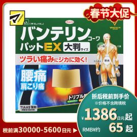 2号仓-兴和万特力 山金车薄荷消炎镇痛膏药贴EX  大尺寸10×14mm 7片 【第２类医药品】 KOWA VANTELIN 舒缓肩膀僵硬腰痛