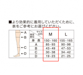 1号仓-爽健 臀部线条塑形提升美腿 裤袜睡眠袜压力袜 M 黑色 Dr. Scholl MediQttO 大腿根部加强