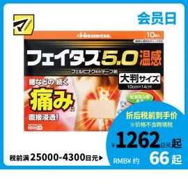 2号仓-久光制药 斐特斯5.0 腰腿疼痛膏药贴 大片镇痛贴 温感 10×14cm 10贴【第2类医药品】