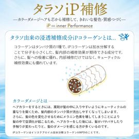 1号仓-高丝Je l'aime IP 深层滋润保水抚平毛糙 浓缩美容液发膜 柑橘花香 230g KOSE 修护染烫发梢