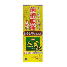 1号仓-小林制药 生叶EX 收敛温和型牙膏 植物配方美白预防牙龈炎口臭清洁口腔 100g