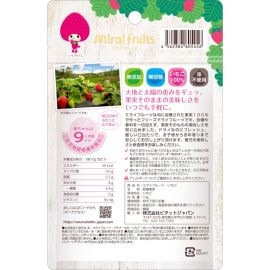 2号仓-Bitatto Japan 无添加水果冻干 草莓干 10g 3个装 草莓果干 健康零食 幼儿可食用 