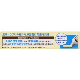 2号仓-第一三共healthcare 皮炎软膏 治疗化脓性皮肤病毛囊炎丘疹 6g【第2类医药品】