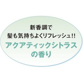 1号仓-SEABREEZE海帆 持久清爽控油去屑 植萃洗护合一洗发水替换装 柑橘香 400ml