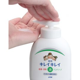 1号仓-LION狮王 趣净植物洁净液体型洗手液 抗菌杀菌 250ml