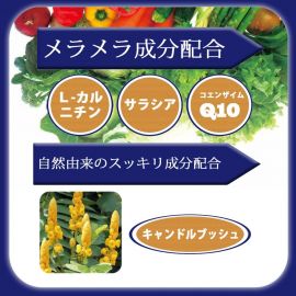 【廃盤】2号仓-svelty丝蓓缇 日本蔬菜水果发酵生酵母 60粒