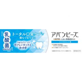1号仓-WAKAMOTO若素 清新口气 乳酸菌 口臭护理牙膏 法式薄荷味 80g 预防蛀牙 抑制牙周病 美白去渍