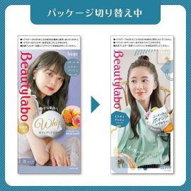 1号仓-Hoyu beautylabo 易上色温和不伤发 冰淇淋摇摇杯泡沫染发剂(黑发用)蒙蒙灰色 80ml＋40ml 护发素5g