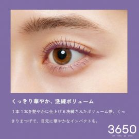 1号仓-3650 防晕染浓密纤长卷翘速干持久 纤长睫毛膏 6.5g 温水可卸 梶惠理子同款