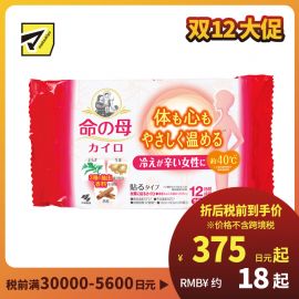 2号仓-小林制药 桐灰 命之母 专为手脚冰冷人士设计 恒温发热 暖宝宝 黏贴型 可持续12小时 生姜艾草桂皮香10片 发热贴 保暖贴 暖身贴 暖宫贴