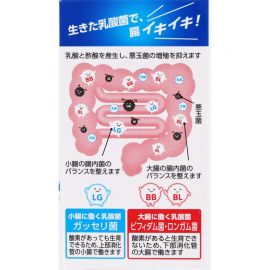 2号仓-WAKAMOTO若素 调理肠道 乳酸菌整肠丸 90粒 益生菌 改善便秘腹泻 缓和腹胀感 (指定医药部外品)