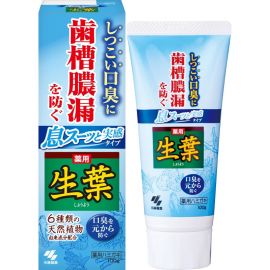 1号仓-小林制药 草本生叶 舒缓抗炎 改善口气 深层杀菌 牙膏 100g 双重杀菌 持久清爽 舒缓牙龈不适