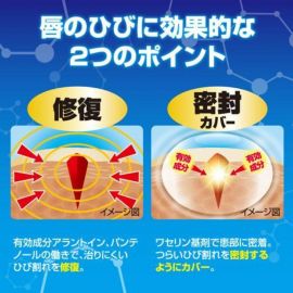 2号仓-ROHTO乐敦 曼秀雷敦 唇部修复膏 修复嘴唇裂口低刺激药膏 6g 【第3类医药品】