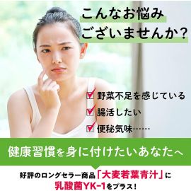 2号仓-山本汉方 乳酸菌大麦若叶青汁粉 营养代餐粉 补充果蔬膳食纤维 4g×30袋