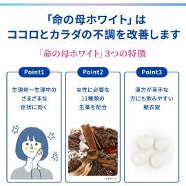 2号仓-小林制药 命之母 经前痛经月经调理丸 促进血液循环 改善经期不适症状 84粒【第2类医药品】