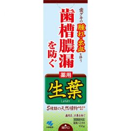 1号仓-小林制药 预防牙龈肿痛生叶牙膏 100g