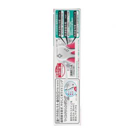 1号仓-LION狮王 DENT HEALTH牙龈组织修复 预防牙周炎 美白牙膏 95g