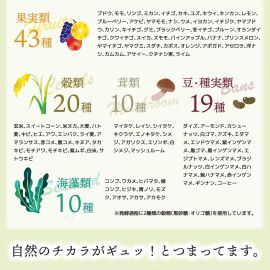 2号仓-医食同源 营养平衡 提升代谢 植物发酵浓缩 藤黄果提取 Premium果蔬DIET酵素 120粒 ISDG 温和辅助 饮食搭配 减少油腻积累