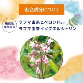 2号仓-常盘 助眠片 萃取天然草本罗布麻 辅助提高睡眠质量 安神助眠改善睡眠质量 21袋/包
