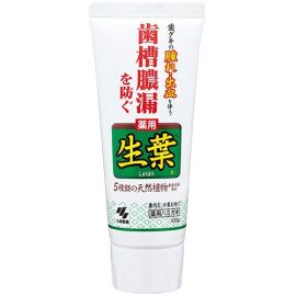 1号仓-小林制药 预防牙龈肿痛生叶牙膏 100g