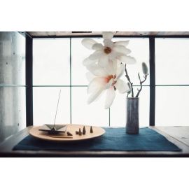 1号仓-日本香堂 吉祥如意系列 香薰线香 生姜 40根 带香插 NipponKodo