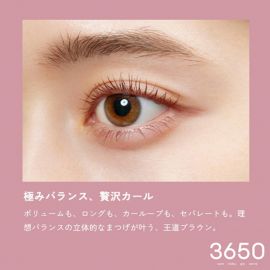 1号仓-3650 防晕染浓密纤长卷翘速干持久 防水型睫毛膏 6.5g 