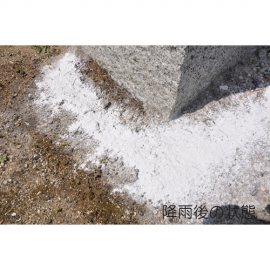 2号仓-Earth安速 长效驱虫药 粉状 550g 驱除毛虫，蚂蚁等