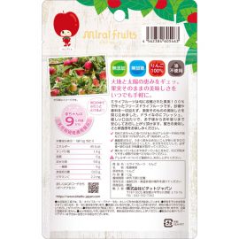 2号仓-Bitatto Japan 无添加水果冻干 苹果干 12g 苹果果干 健康零食 幼儿可食用 