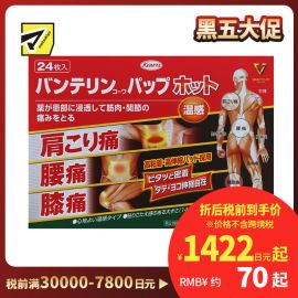 2号仓-兴和万特力 温感消炎镇痛膏药贴 14×10mm S 24片 【第２类医药品】 KOWA VANTELIN 缓解腰肩关节疼痛扭伤挫伤