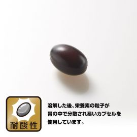2号仓-野口医学研究所 善玉菌乳酸菌益生菌胶囊 调节肠胃避免胀气 60粒