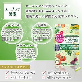 【欠品】2号仓-isdg医食同源 diet绿色酵素 绿虫藻排毒 提高免疫力 310mgx120粒