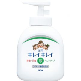 1号仓-LION狮王 趣净植物洁净液体型洗手液 抗菌杀菌 250ml