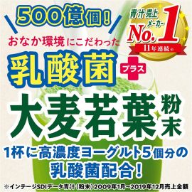 2号仓-山本汉方 乳酸菌大麦若叶青汁粉 营养代餐粉 补充果蔬膳食纤维 4g×30袋