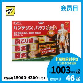 2号仓-兴和万特力 温感消炎镇痛膏药贴 14×10mm S 12片 【第２类医药品】 KOWA VANTELIN 缓解腰肩关节疼痛扭伤挫伤