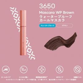 1号仓-3650 防晕染浓密纤长卷翘速干持久 防水型睫毛膏 6.5g 