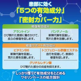 2号仓-ROHTO乐敦 曼秀雷敦 唇部修复膏 修复嘴唇裂口低刺激药膏 6g 【第3类医药品】