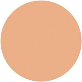 1号仓-资生堂 遮瑕修容提亮肤色 遮瑕膏 S100 20g SHISEIDO SPOTSCOVER 适合偏白普通肤色 遮黑眼圈毛孔  