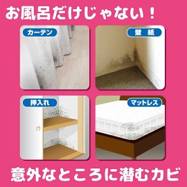 2号仓-KINCHO金鸟 NAKUNARU 家居窗帘防霉喷雾剂 300mL