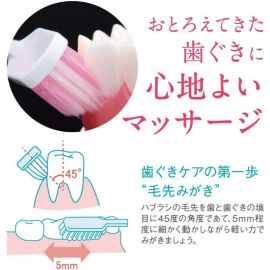 1号仓-LION狮王 牙龈护理成人薄型超极细毛标准款头牙刷 柔软型 1支