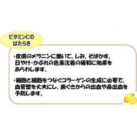 2号仓-爱利纳明 武田HICEE1000 维生素C粉末 细颗粒 抑制黑色素 改善色斑雀斑 84包【第3类医药品】