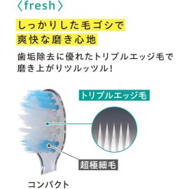 1号仓-丹特博 三重斜切刷毛设计 牙菌斑清理 深层清洁 超小头牙刷 1支 普通刷毛 清爽磨擦感 清洁牙缝 