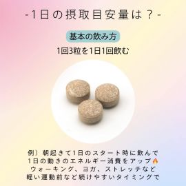 【停产】2号仓-日本药健 提高代谢 瘦小腹 葛花异黄酮丸 90粒 3个装 L'AMULE BURN 减重 减少腹部脂肪【机能性表示食品】