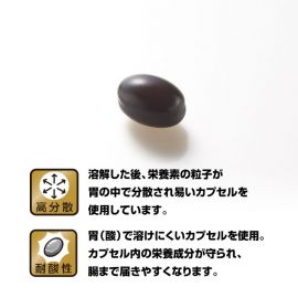 2号仓-野口医学研究所 纳豆激酶HQ4000FU 纳豆精胶囊 促进血栓溶解降三高 120粒 3个装