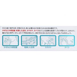 2号仓-KOWA兴和 扁桃体喉咙痛喷雾剂 25ml 缓和咽喉上火肿痛干痒 清爽薄荷味【第3类医药品】