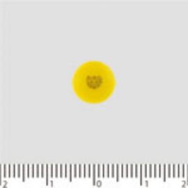 2号仓-alinamin爱利纳明 合利他命 复合多种维B族EX PLUS 缓解疲劳 肌肉酸痛 270片【第3类医药品】