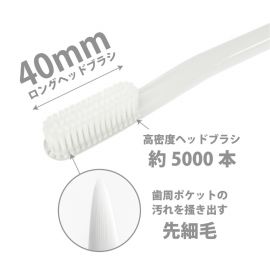 1号仓-Bitatto Japan 40mm刷头设计 贴合牙龈 高密度 软毛牙刷 1支  长刷头 快速干燥 减少细菌滋生 【颜色随机发货】